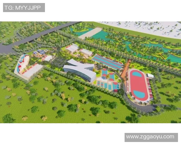 西安极限运动队引领潮流最新极限运动意识TOP10全解析