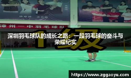 深圳羽毛球队的成长之路：一段羽毛球的奋斗与荣耀纪实