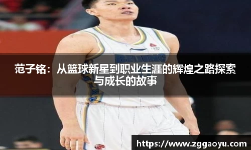 bsports登录入口