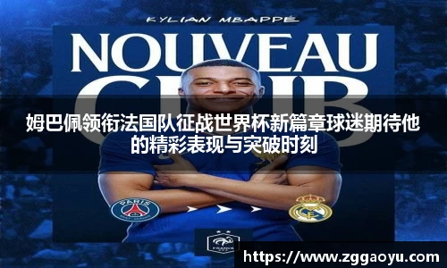 bsports官网登录入口