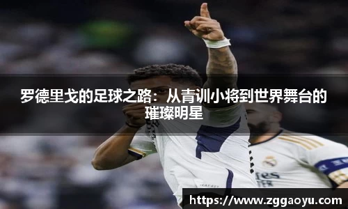 bsports官网入口