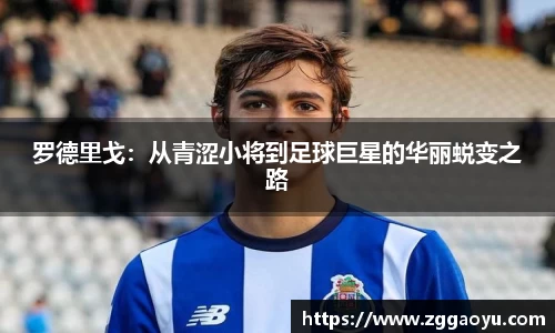 bsports登录入口