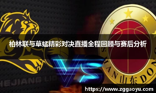bsports官网登录入口
