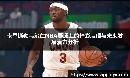 bsports官网登录入口
